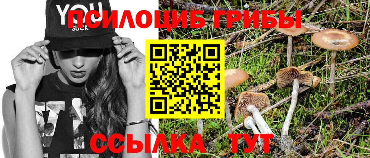 Псилоцибиновые грибы прущие грибы Гурьевск