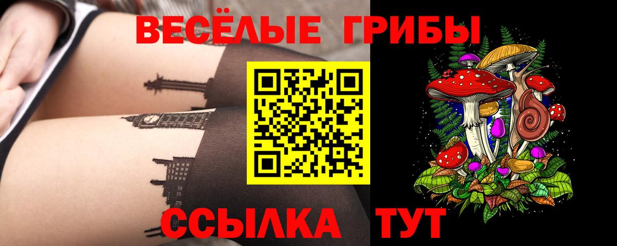 Псилоцибиновые грибы мицелий  Вход с VPN  Гурьевск 
